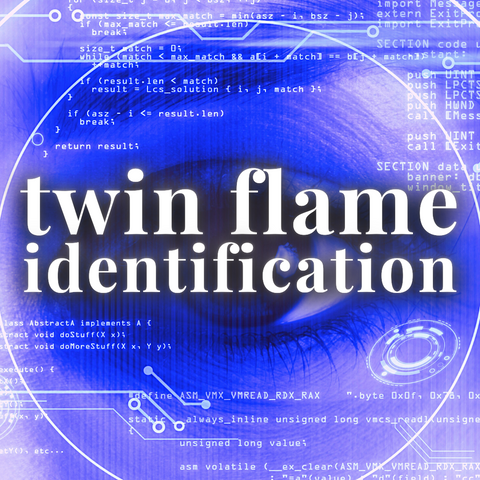 NEW! Twin Flame ID Services